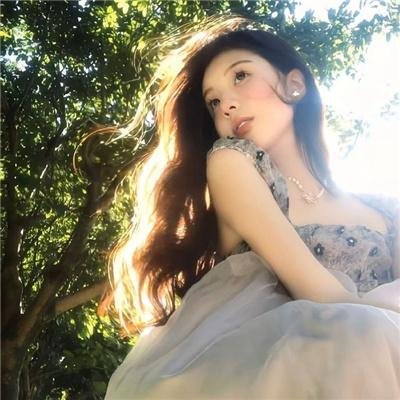 官方机密
